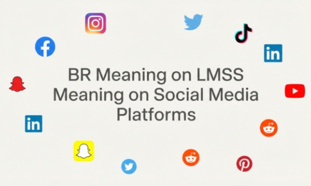 LMSS Meaning on Social Media Platforms