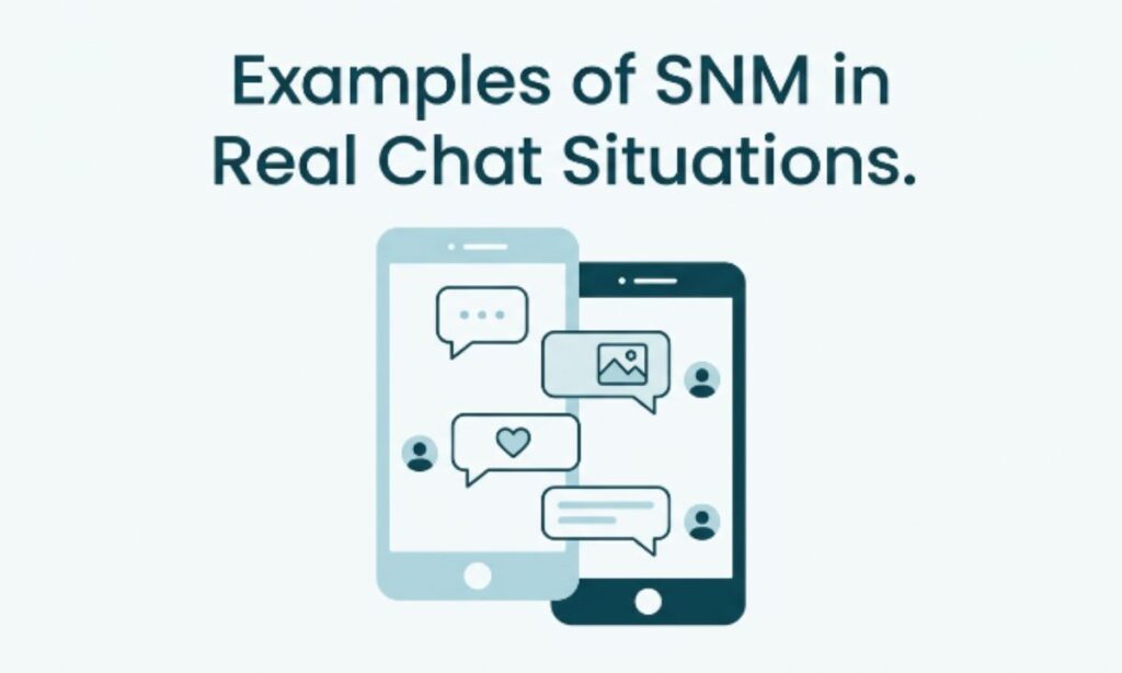 Examples of SNM in Real Chat Situations