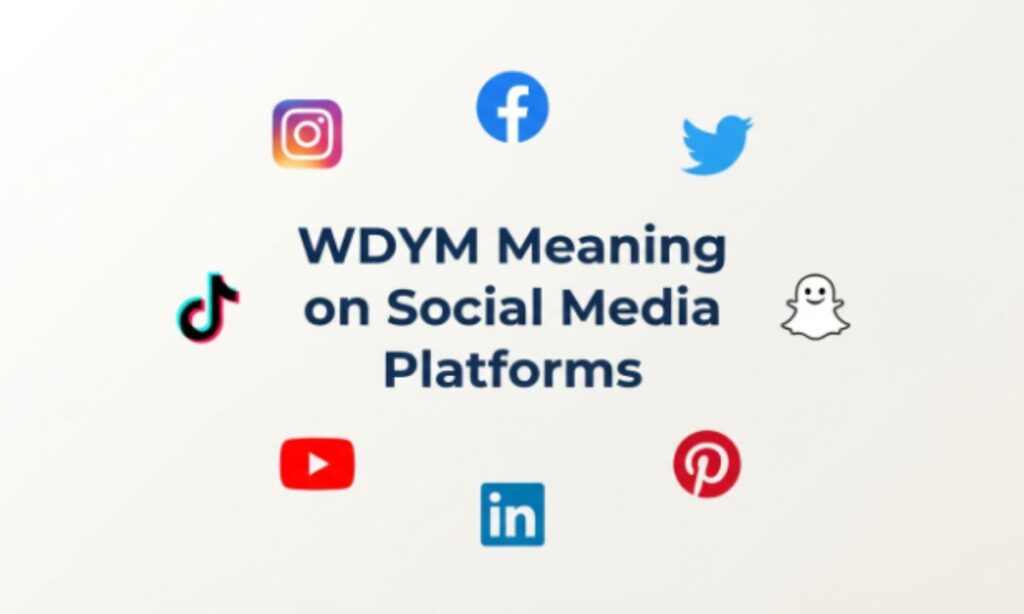 WDYM Meaning on Social Media Platforms 