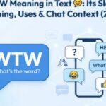 WTW Meaning in Text 💬 Its Slang Meaning, Uses & Chat Context (2026)