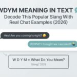 Wdym Meaning in Text 💬 Decode This Popular Slang With Real Chat Examples (2026)