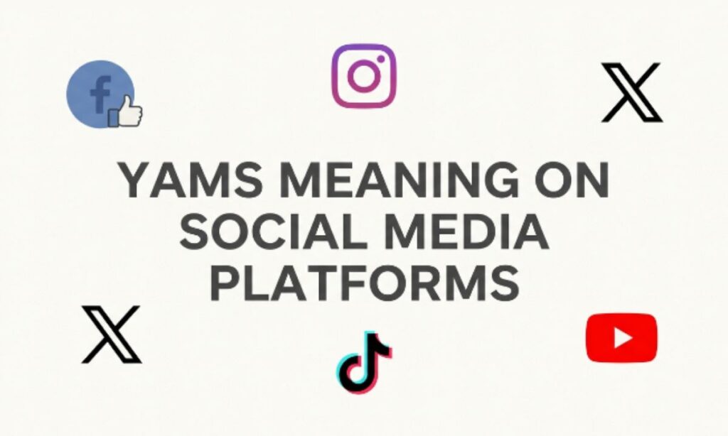 Yams Meaning on Social Media Platforms