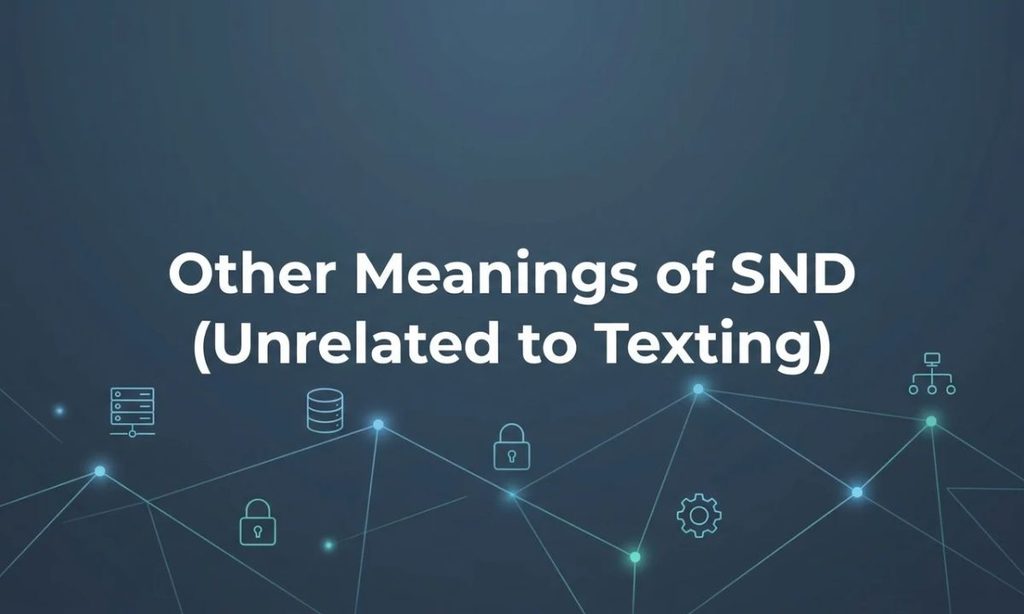 Other Meanings of SND (Unrelated to Texting)