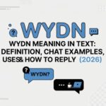 WYDN Meaning in Text_ Definition, Chat Examples, Uses & How to Reply (2026)