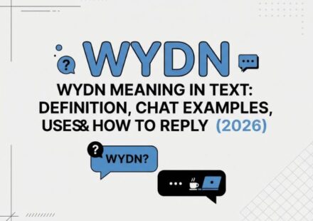 WYDN Meaning in Text_ Definition, Chat Examples, Uses & How to Reply (2026)